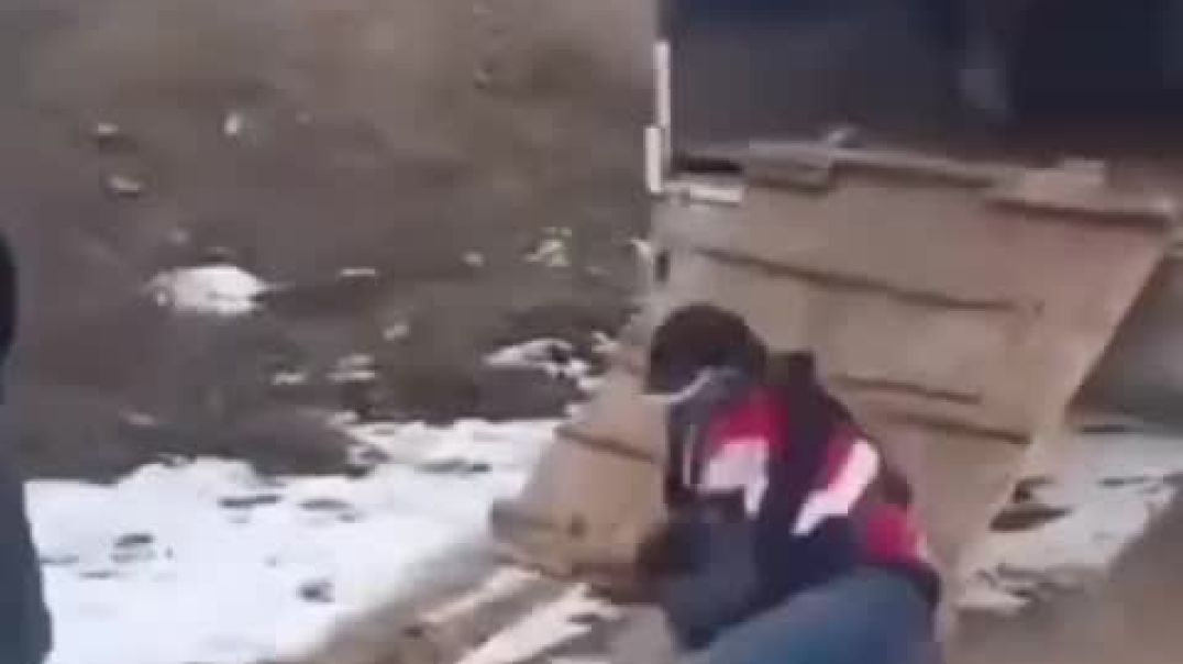 ⁣Animals Funny Video 😂__ @funnyfails @animals @shorts_High
