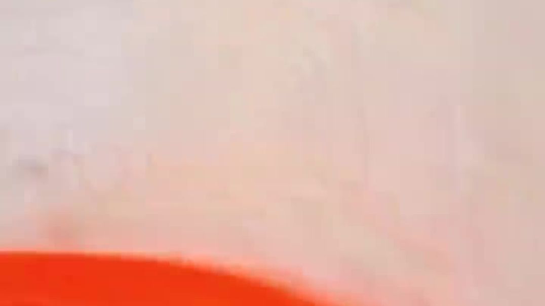 263 FOOT Epic Hot Wheels Track!  @hotwheels @hotwheelstrack @brutalmenace_HD