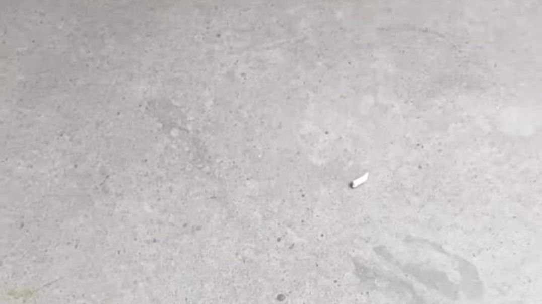 ⁣Adorable