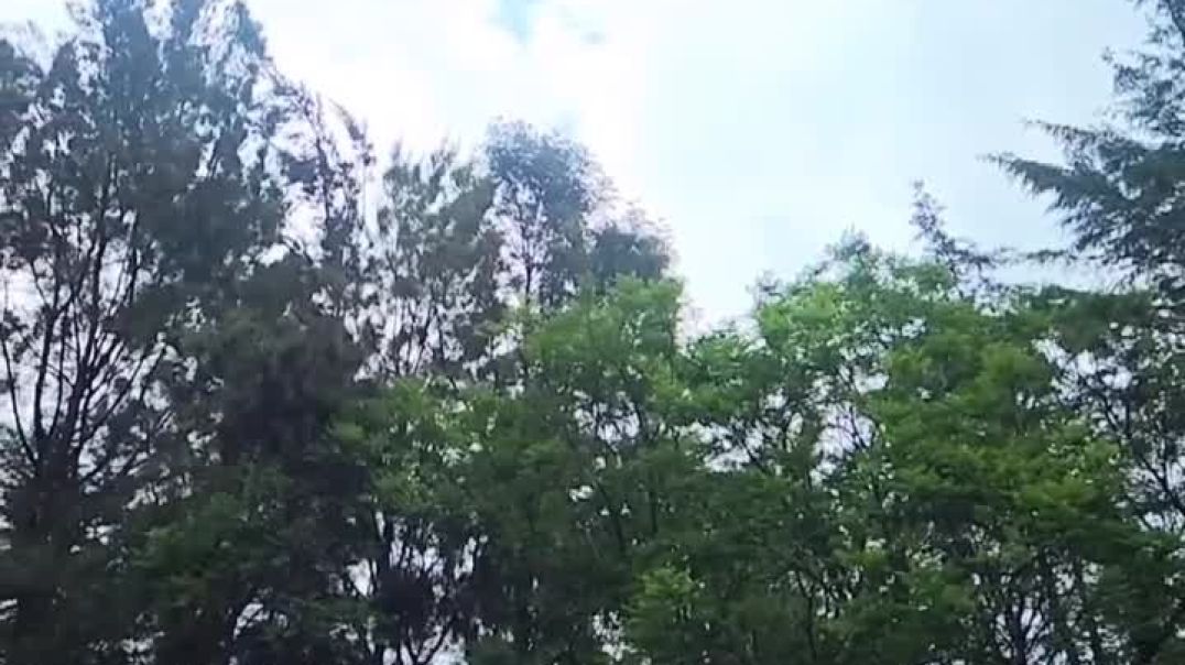 ⁣Superb somersault