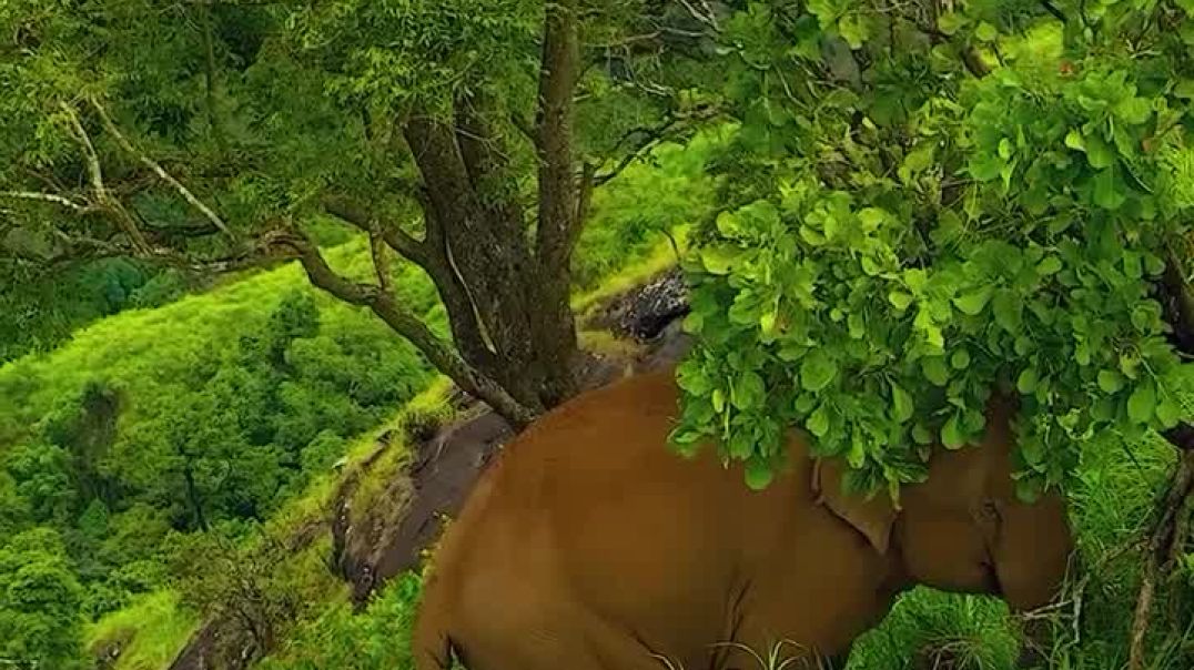 ⁣Amazingly beautiful