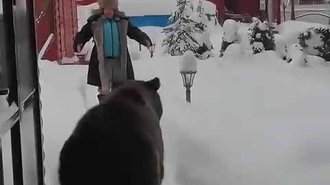 Touching reunions between animals and their beloved humans_High