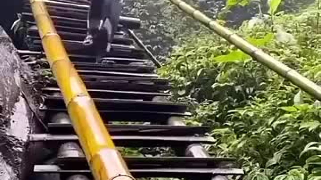 ⁣Epic Funny Video 😂😂😂