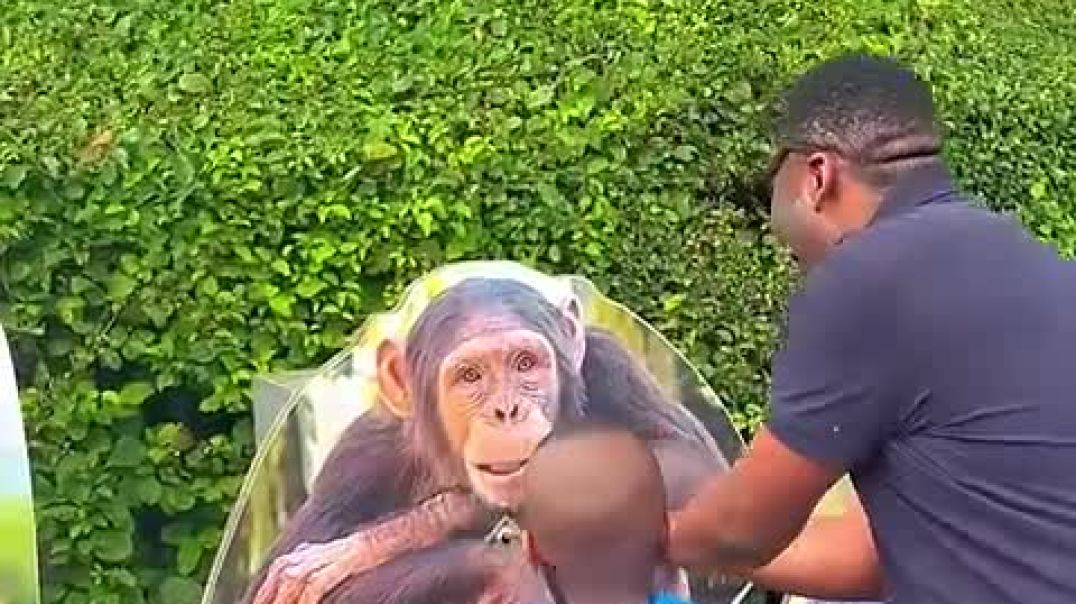 ⁣Zoo Fun Challenge With Tourists😍_High