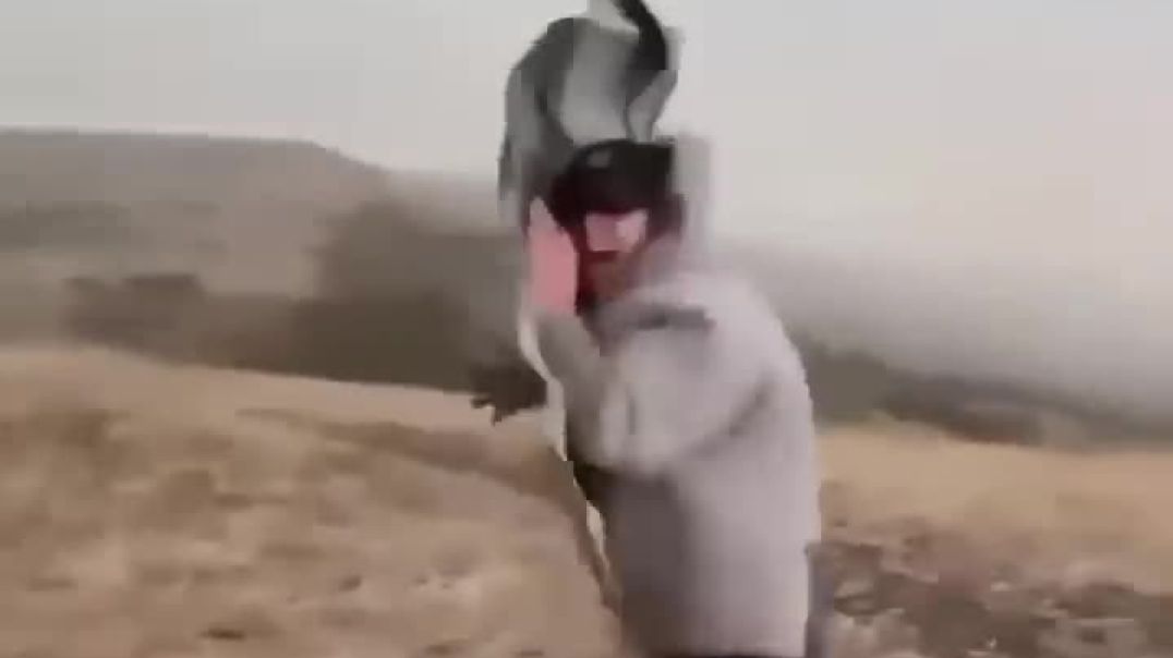 Heavy wind_HD