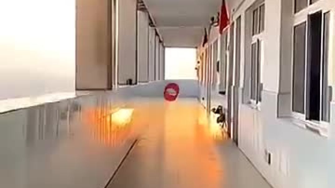 ⁣Worlds Best Paper Airplane Tutorial 🤗✈️ ,