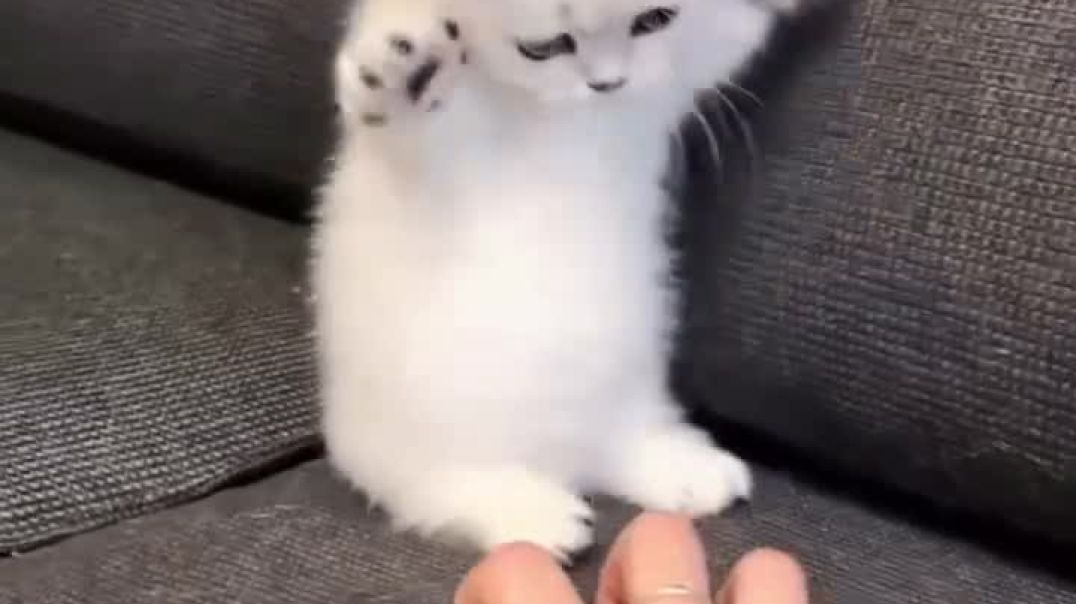 ⁣i just want to play