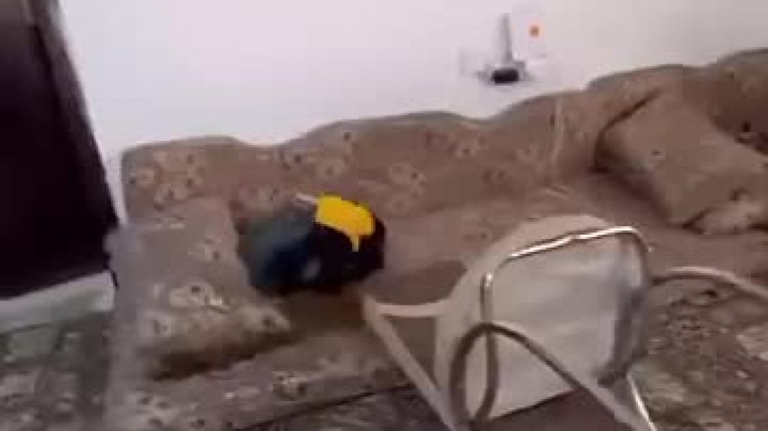 ⁣Funny reel