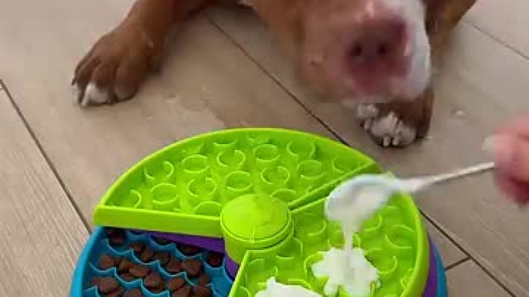 Breakfast for Choco 💞