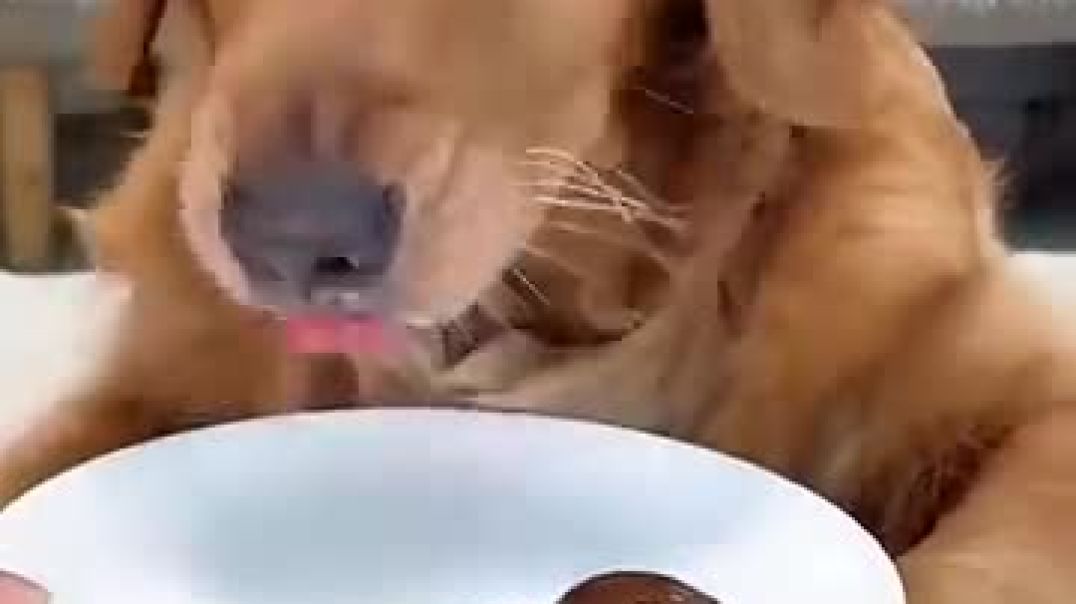 Cute theif