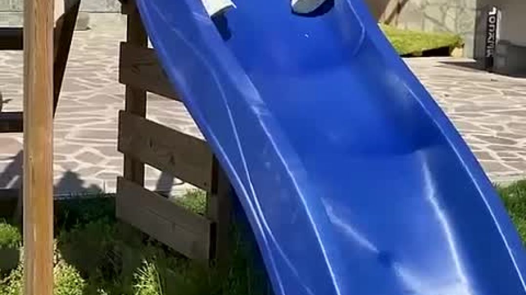⁣Siblings Help Their Blind Sister Slide 🥹_High