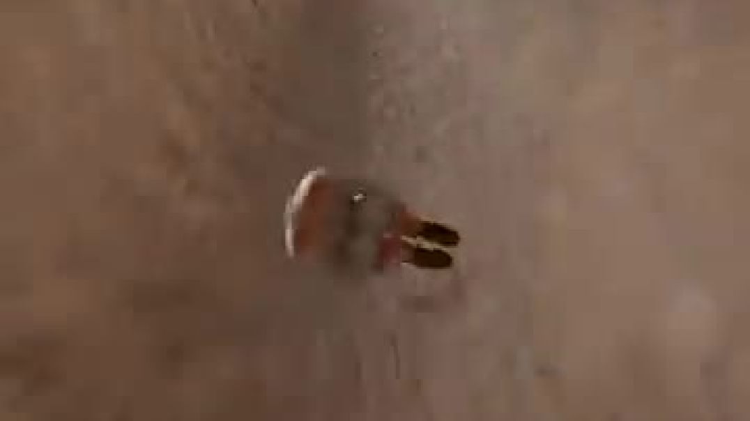 What If You Dig A Hole Through Earth and jump in_ 😱
