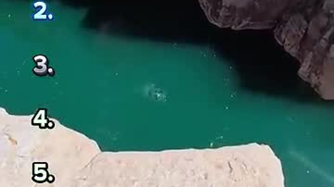 ⁣Funny videos