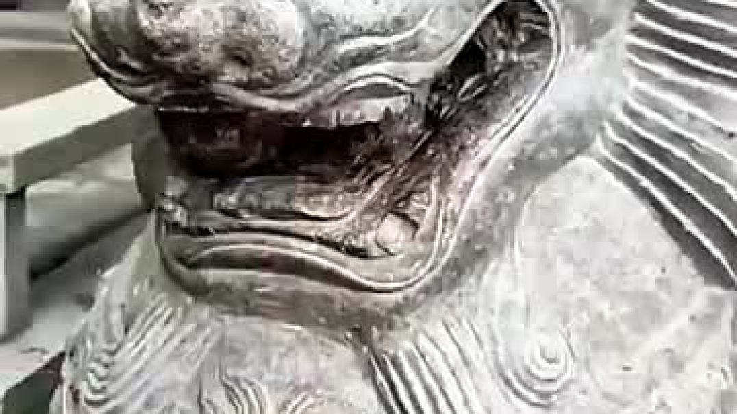 Trapped In Lions Mouth 😨