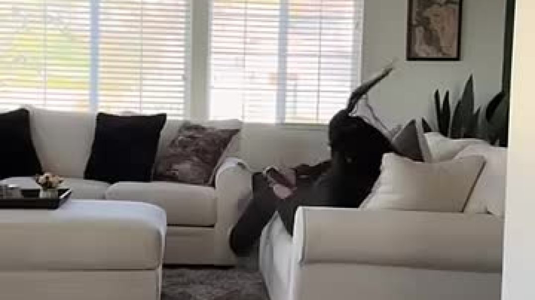 Hair spray prank on wife
