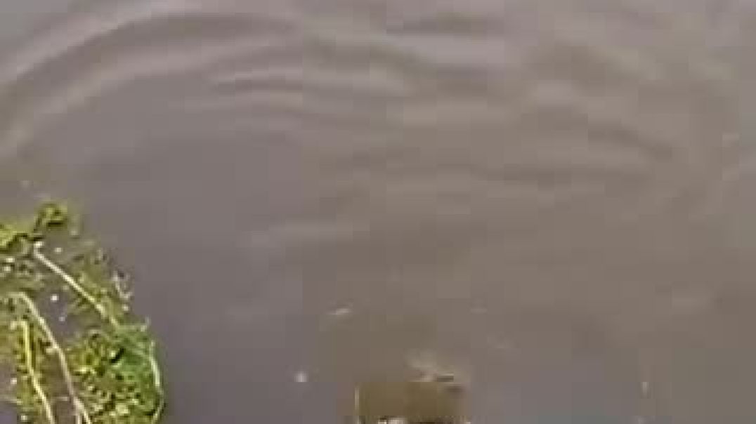 biggest whirlpool 💀