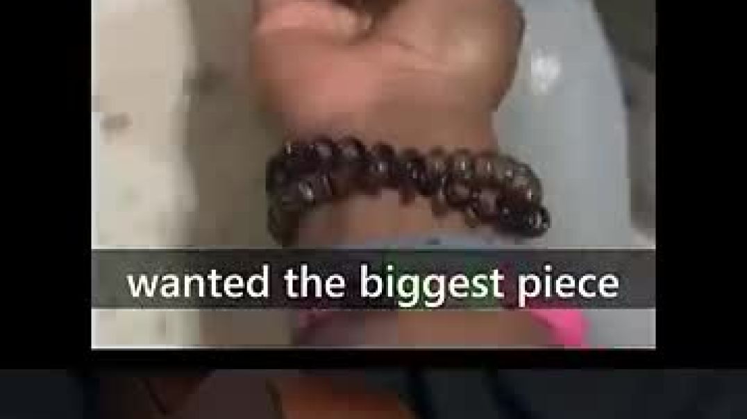 Woulda got me too
