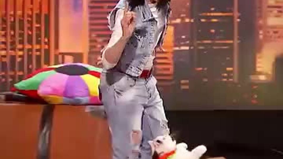Super Cats SHOCK The Judges 🐈😹 ! _