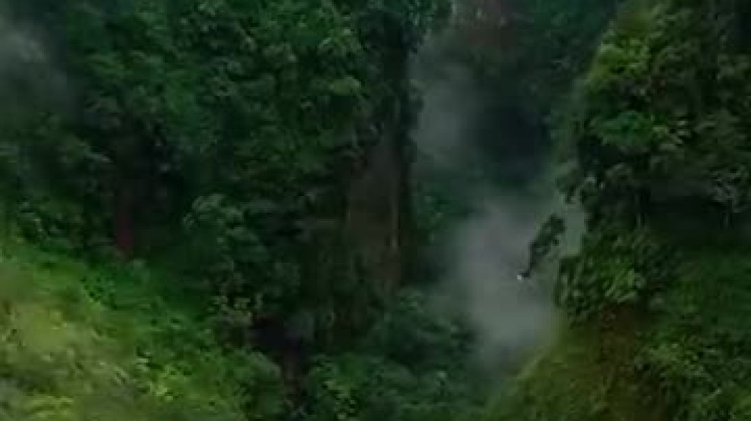 Why was the Amazon forest not fully explored_