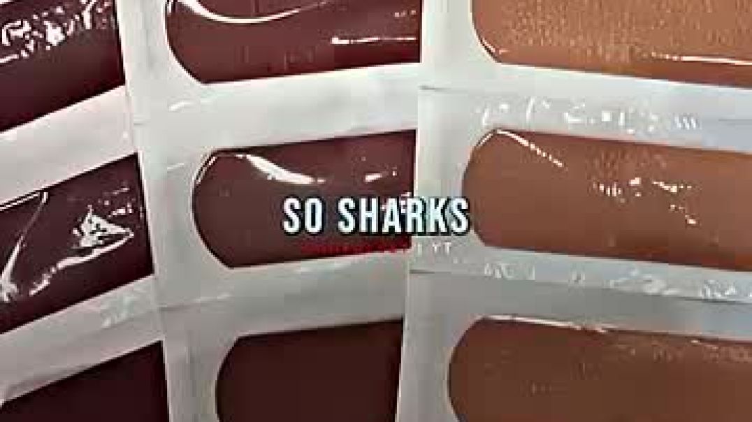 The Ultimate Bandage 🩹 _ Shark Tank US