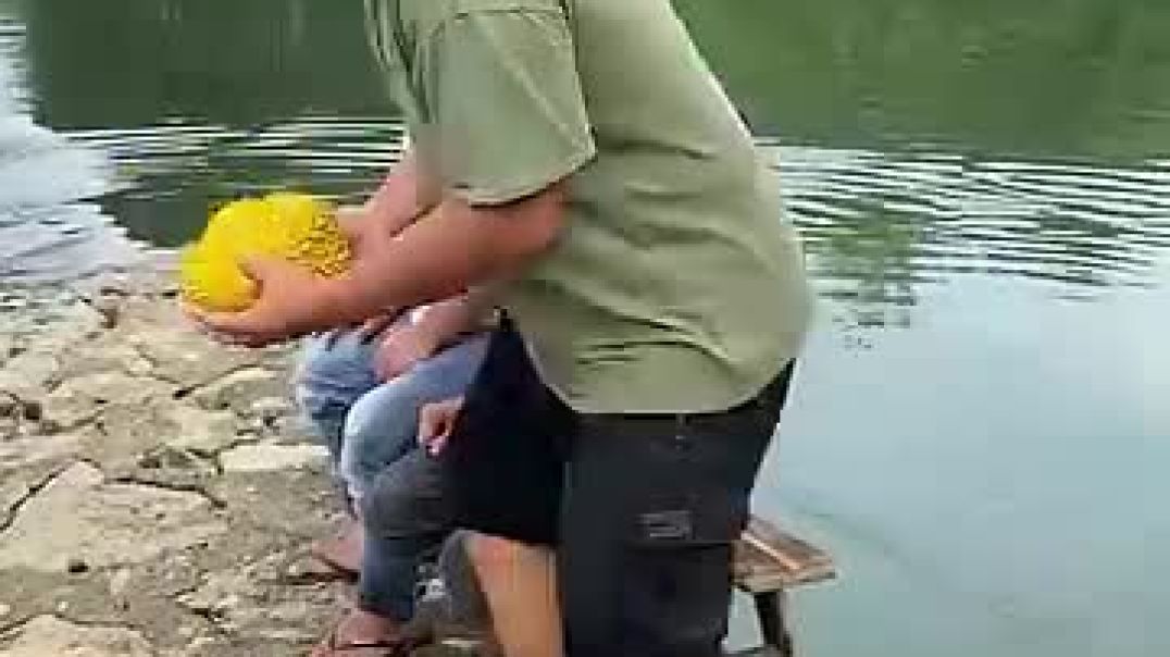 ⁣Funny videos