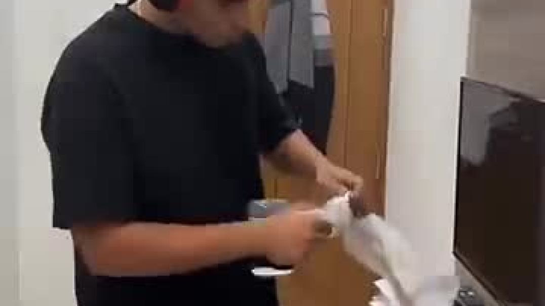 suicide prank 😎 @trending @troll