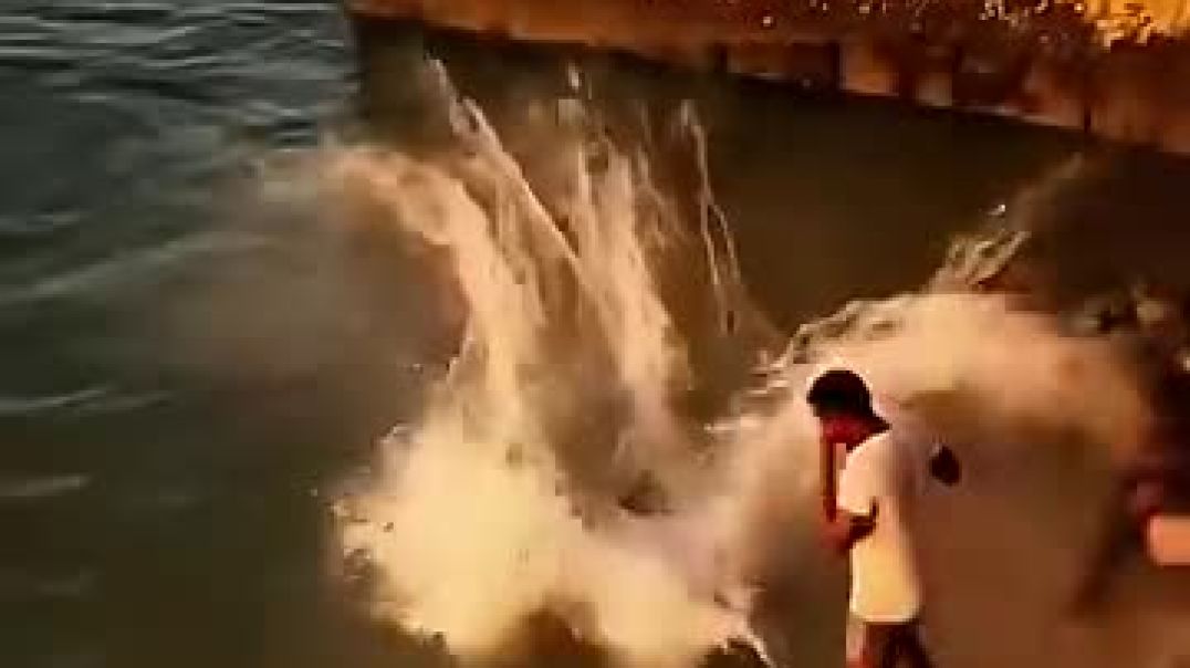 ⁣Others Jumping In To Water vs