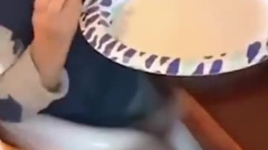 ⁣Dogs being idiots with Kid part 168 🤣🐕 @funnydog @funnypet @cutedog @dog @