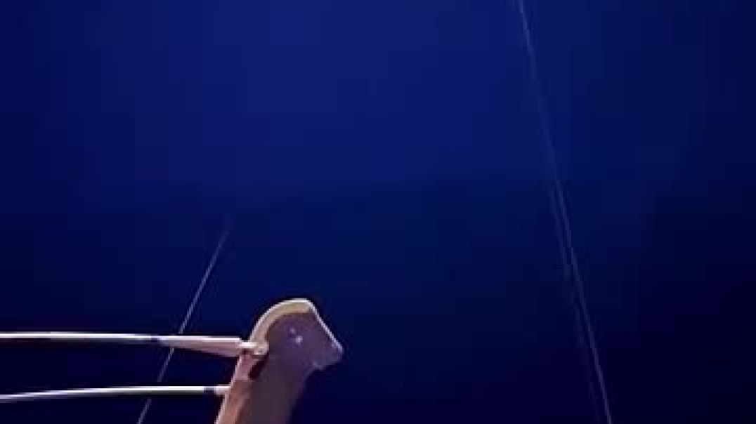 ⁣Watch This Acrobat Defy GRAVITY in Mind-Blowing Show