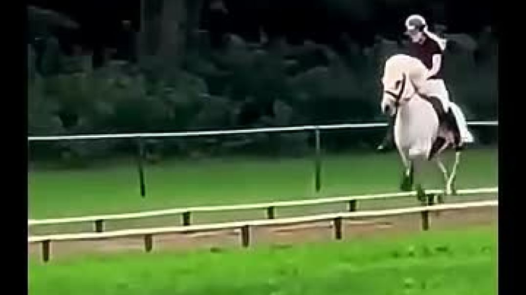 ⁣Amazing breed and jockey
