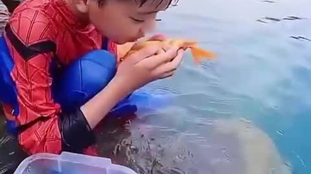 This Fish Refused to Say Goodbye! ❤️_High