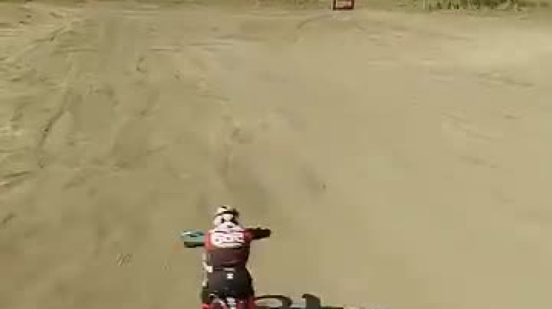They Are FLYING 😳
