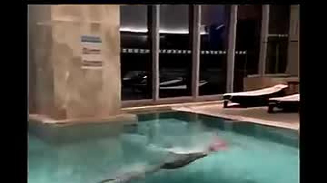 Even the pool stays calm when he moves — that’s mastery