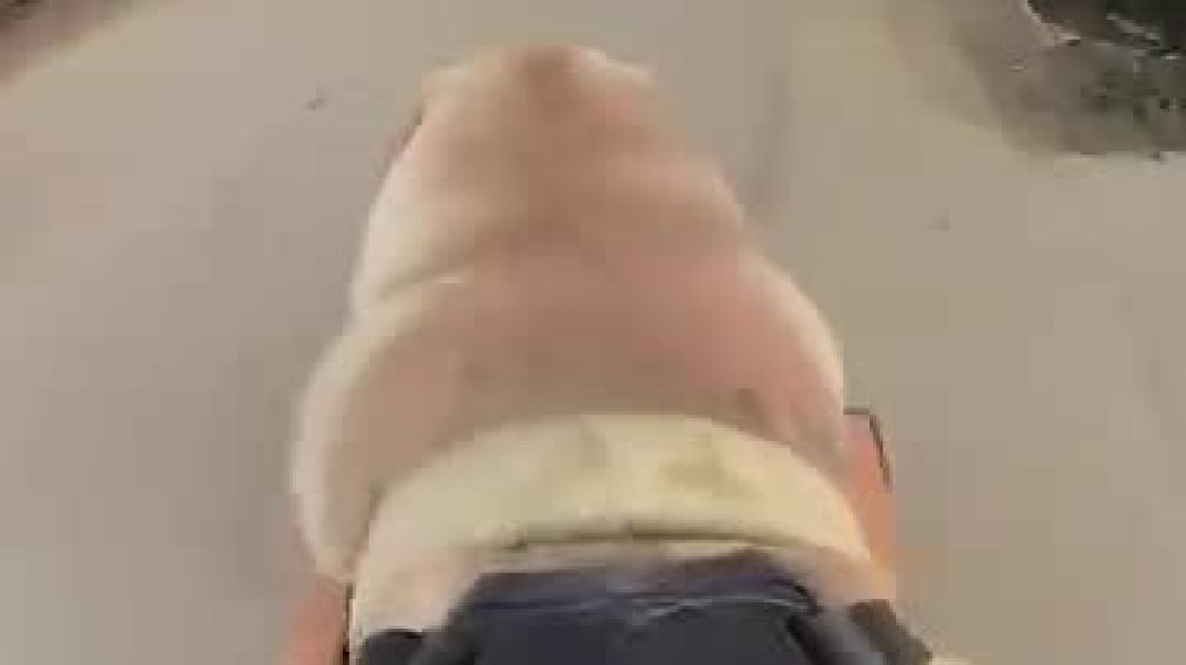 ⁣Dog picks up girl from school ❤️